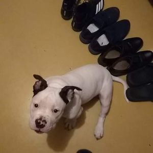 Meet your Posher, Tracy